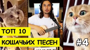 Топ-10 кошачьих песен от The Kiffness