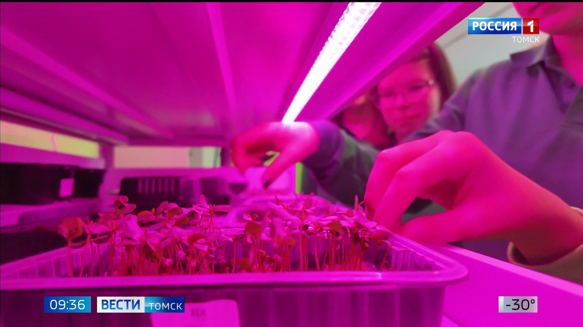 Вести-Томск, выпуск от 27.01.2026 09:30 смотреть онлайн