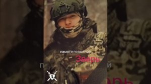 песня памяти позывной Зверь от Baba Yaga