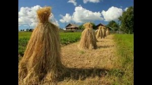 Гармонь Тальянка - Иван Ведерников