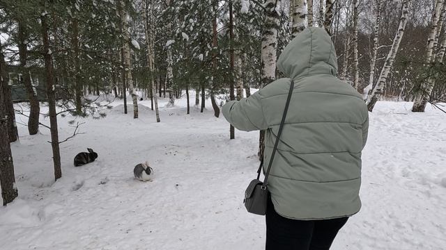 Кролики на курорте Завидово в лесу (часть 1)