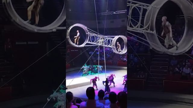 Трюки на колесе фортуны. Цирк Аскольда Запашного смотреть онлайн