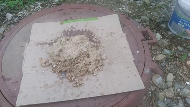 Новый проект подкормка мух