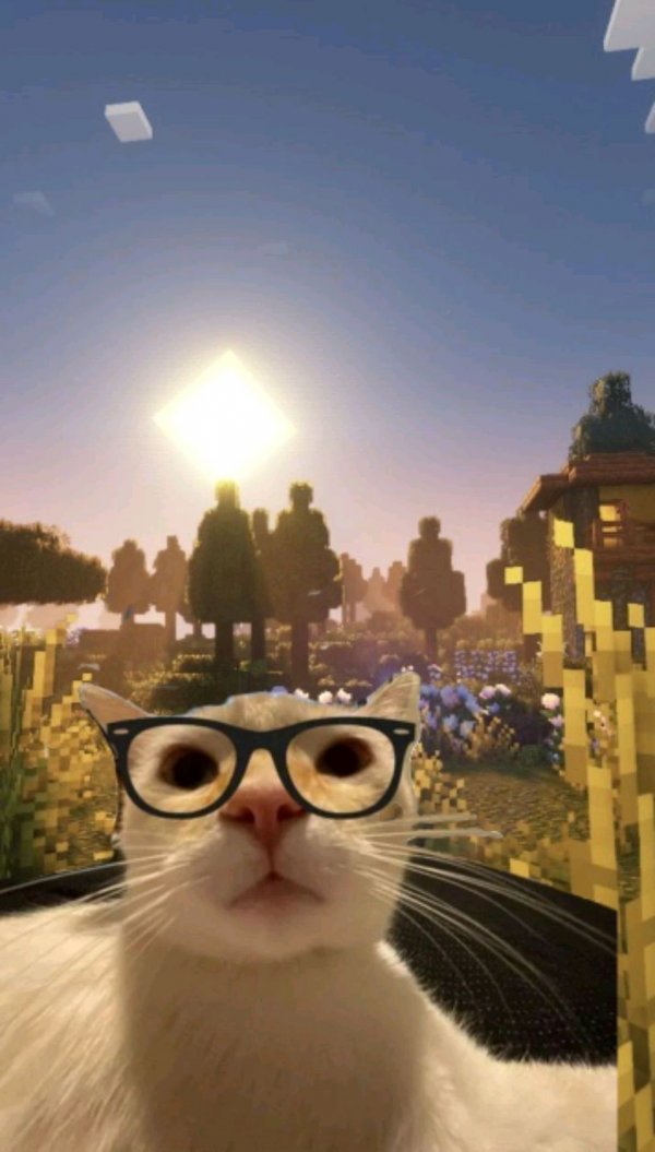 мистер minecraft