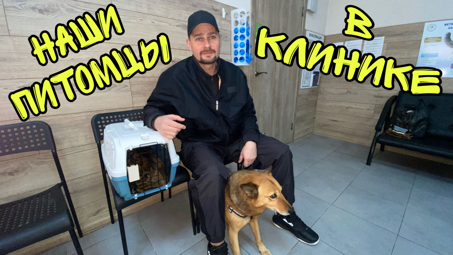 Влог! Везем кошку и собаку в ветеринарную клинику! смотреть онлайн