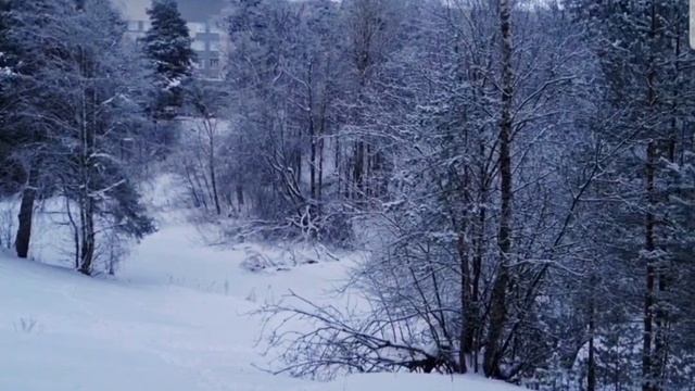 Ши-тцу Кузя!