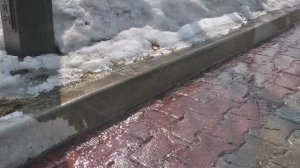 Весенний ледоход на Амуре у Хабаровска.