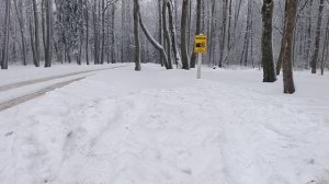 black strike p08 5.5