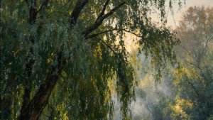 Кавер-версия песни Тейлор Свифт «Begin Again»