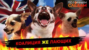 Коалиция же лающих