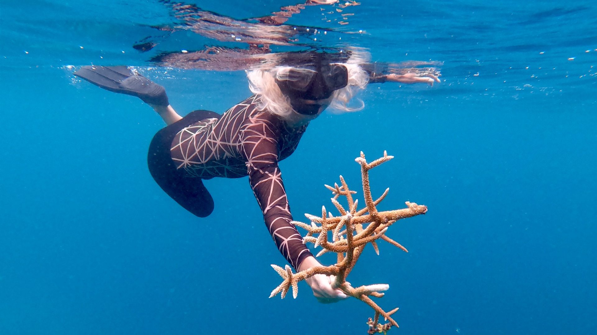 Мальдивы. Манты, скаты, акулы, дельфины и море эмоций! смотреть онлайн