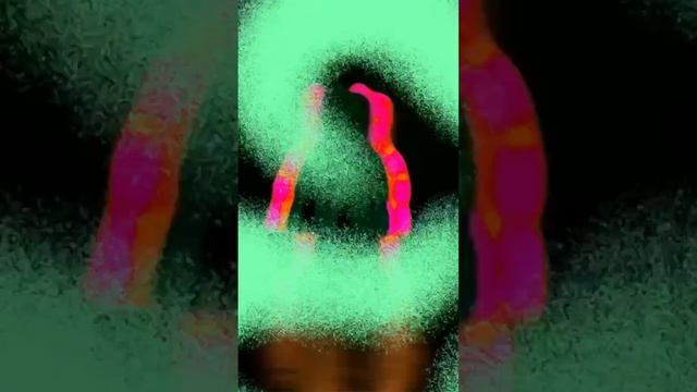 Сон Фантайм фокси (серия 1) смотреть онлайн