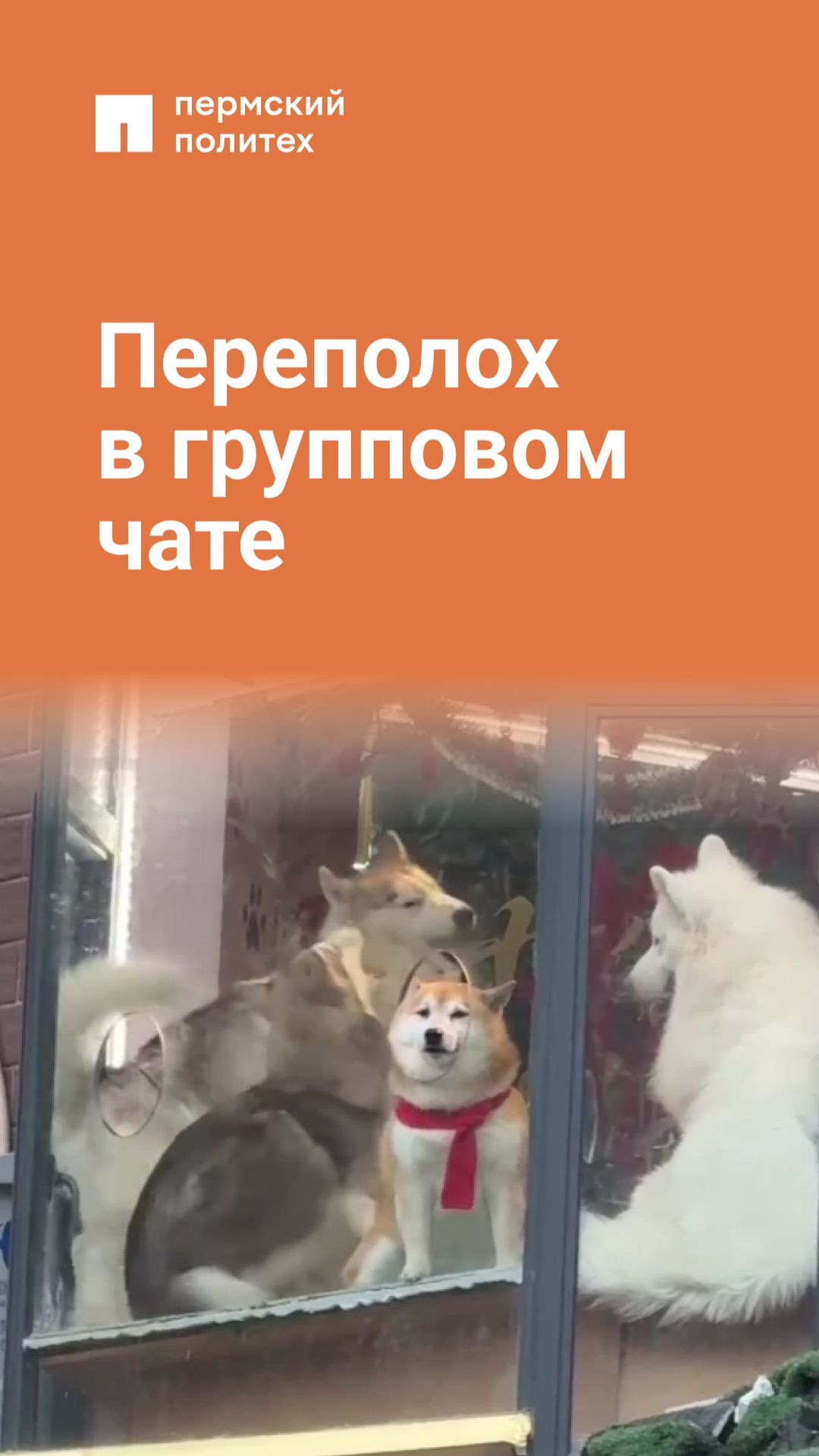 Суета... :) смотреть онлайн