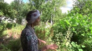 Родовое поместье Н.П.Степановой. ч.1. ПРП Ковчег