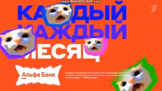 Реклама Альфа-Банка с котиками (2025-2026)