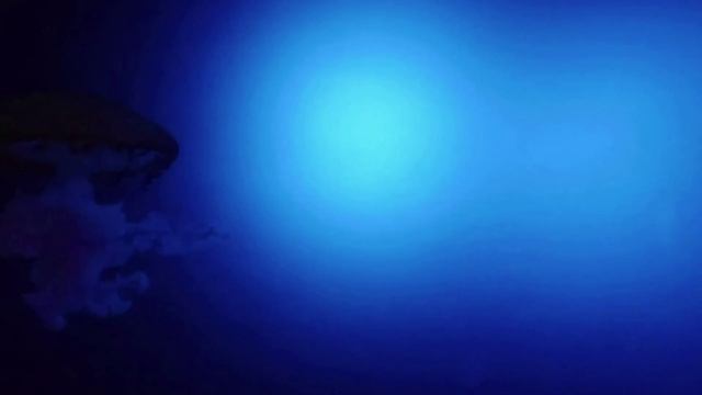 Вишудха Мантра Хам смотреть онлайн