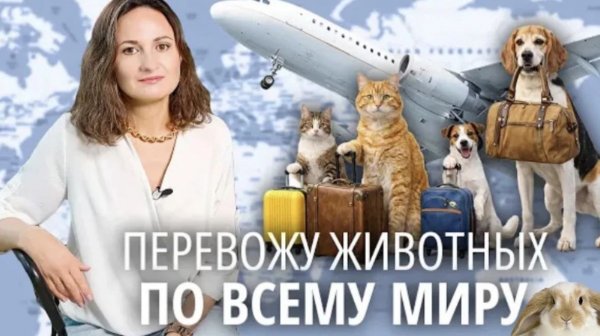 Самая дорогая перевозка - 6 000 долларов | Animal Trips #AnimalTrips