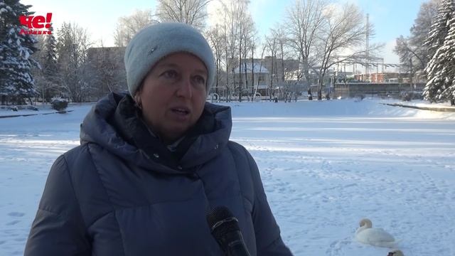 лебеди2 смотреть онлайн