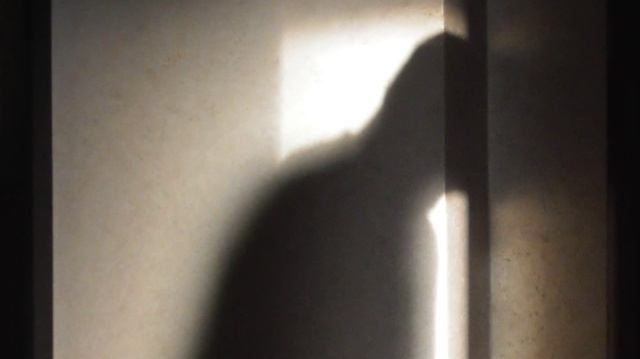 Владимир Бугаев 