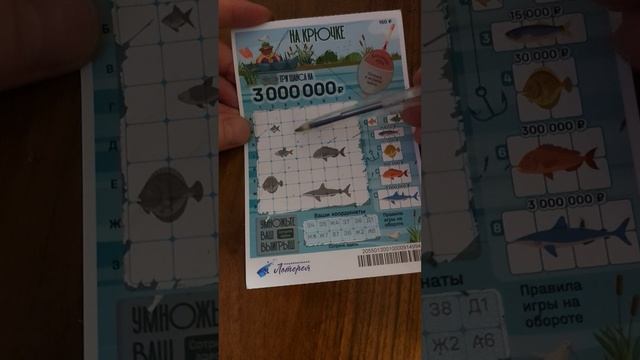 Лотерея "На Крючке", 27.01.2026 смотреть онлайн