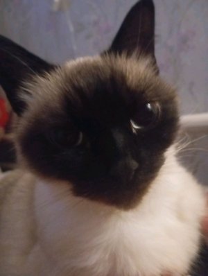 убираемся в км