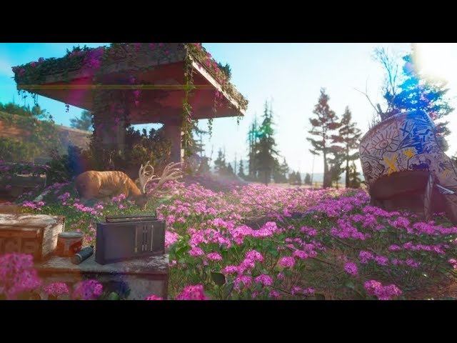 Far Cry New Dawn Часть #2 Новые союзы [Видео #6]