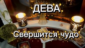 ДЕВА - ВАС ЖДУТ ЧУДЕСА с 01 по 14 февраля 2026г. Таро прогноз.