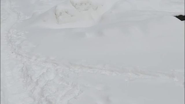 ПОКУПКИ В МАГАЗИНЕ К ПОХУДЕНИЮ, ВОПРОС КО ВСЕМ ПО ХОДУ ПРОГУЛКИ, ПРОСТО ПОБОЛТАЮ С ВАМИ КАК ВСЕГДА смотреть онлайн