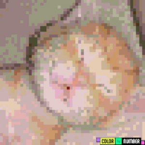 общаемся и танцуем под тренды☺️