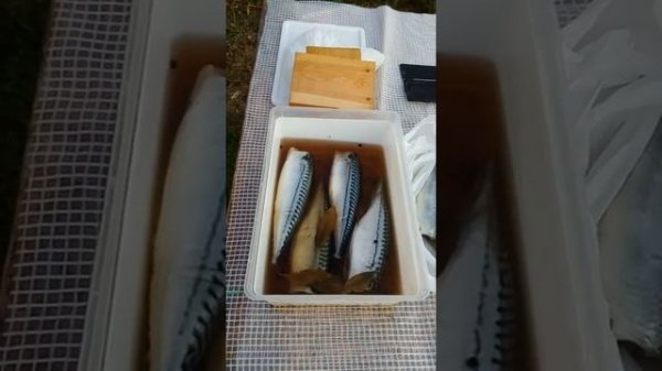 Часть 1, подготовка