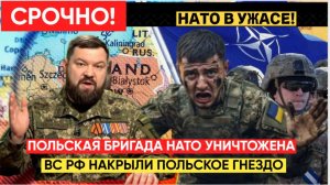 СВОДКА СВО СРОЧНО! Польская бригада НАТО разгромлена в Донбассе, мораль союзников под угрозой