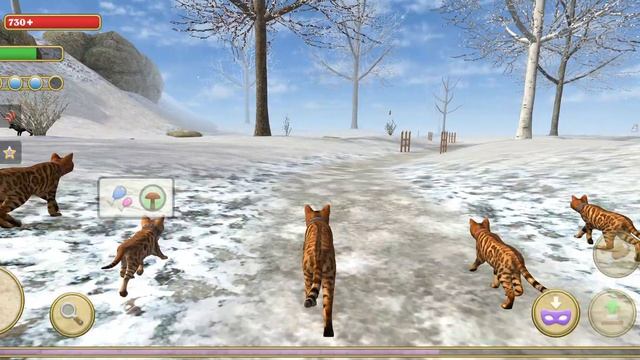 симулятор Кэт