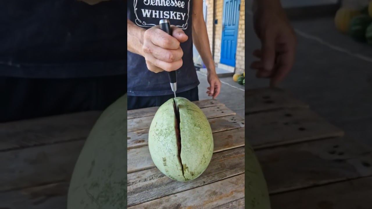 Сезон арбузов подходит к концу смотреть онлайн