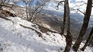 От реки ЧУМАКОВА до ЦЫПКИ 01.2026