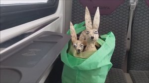 Каникулы закончились. Разобрали елку, убираем все новогоднее. Плов от Асо.