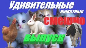 Удивительные животные #смешно #юмор