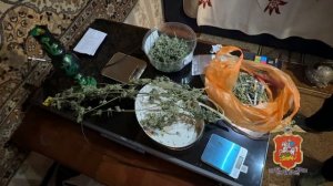В Подмосковье уроженец Закавказья, выращивавший коноплю в арендованном жилище, заключён под стражу