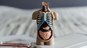 Промывание желудка