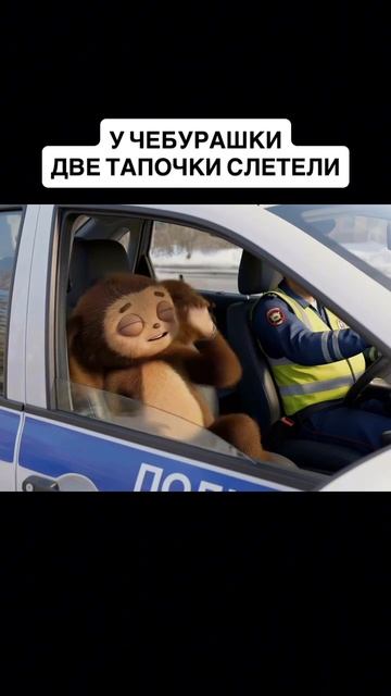 две тапочки слетели чебурашка смотреть онлайн