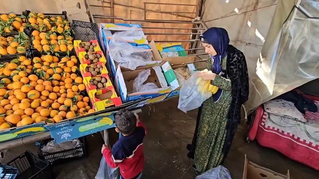 Снег на ферме, цены на ферме Таййиба. смотреть онлайн