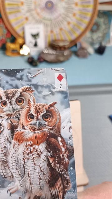 05-02-2026года Карта дня смотреть онлайн