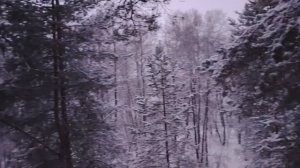 Почему не стоит торопиться в работе по найму в организации