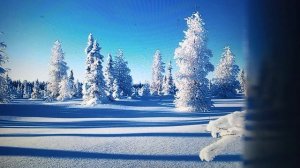 Рыма Чек и Люба Ситцевая- у одной бриллиант в черной оправе, другая совместила несовместимое