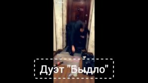 Шаг вперёд 2026 Тизер Трейлер