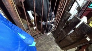 Влог от 14.02.2022