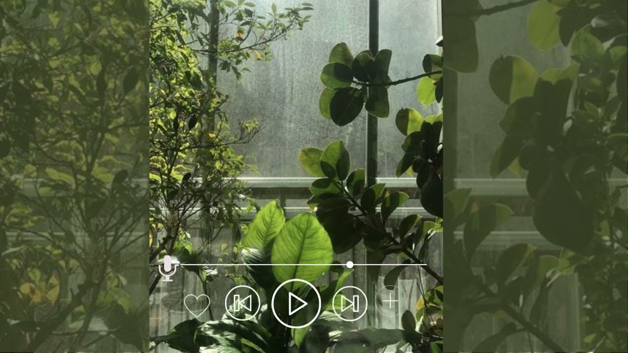 Beautiful Relaxing Music • Peaceful Piano Music & Guitar Music смотреть онлайн