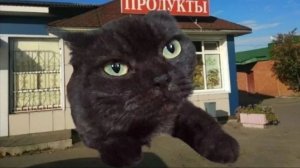 Играю super bear adventure