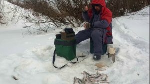 ГЛУХОЗИМЬЕ, ЛЕСНАЯ РЕЧКА, ПЛОТВА ! 25 января 2026г.