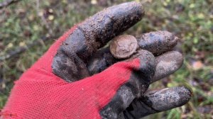 Лес как всегда удивляет разными находками