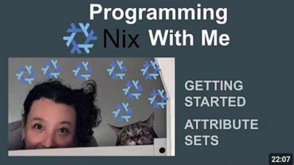 Learn Together Nix Programming | Part 1 - Attribute Sets